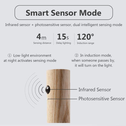 LED Rechargeable Sensor Wall Light